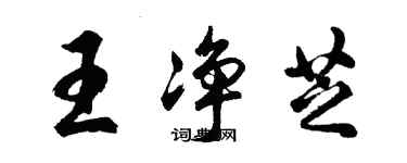 胡問遂王淨芝行書個性簽名怎么寫