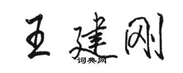 駱恆光王建剛行書個性簽名怎么寫