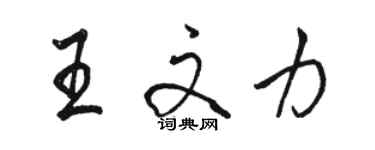 駱恆光王文力行書個性簽名怎么寫