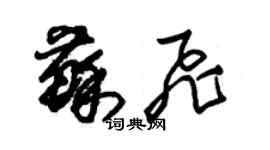 朱錫榮蘇飛草書個性簽名怎么寫