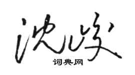 駱恆光沈峻草書個性簽名怎么寫