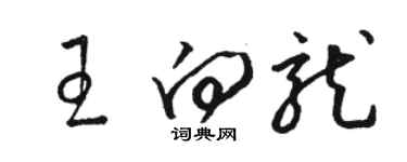 駱恆光王向龍草書個性簽名怎么寫