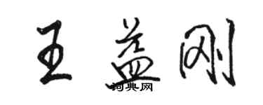 駱恆光王益剛行書個性簽名怎么寫