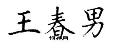 丁謙王春男楷書個性簽名怎么寫