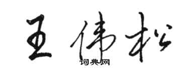 駱恆光王偉松行書個性簽名怎么寫