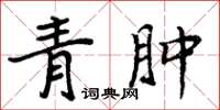 周炳元青腫楷書怎么寫