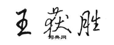 駱恆光王獲勝行書個性簽名怎么寫