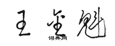 駱恆光王金魁草書個性簽名怎么寫