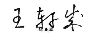 駱恆光王軒成草書個性簽名怎么寫
