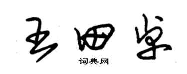 朱錫榮王田卓草書個性簽名怎么寫