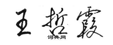 駱恆光王哲霞行書個性簽名怎么寫