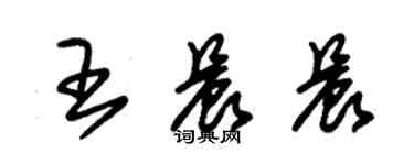 朱錫榮王晨晨草書個性簽名怎么寫