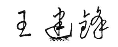 駱恆光王建鋒草書個性簽名怎么寫