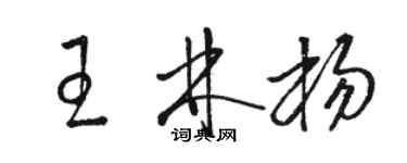 駱恆光王林楊草書個性簽名怎么寫