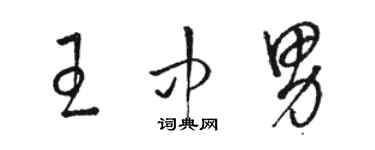 駱恆光王中男草書個性簽名怎么寫