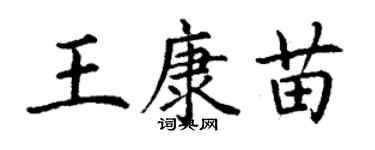 丁謙王康苗楷書個性簽名怎么寫