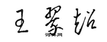 駱恆光王翠超草書個性簽名怎么寫