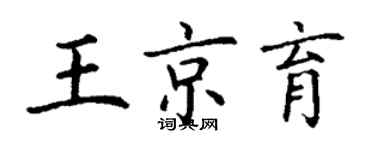 丁謙王京育楷書個性簽名怎么寫