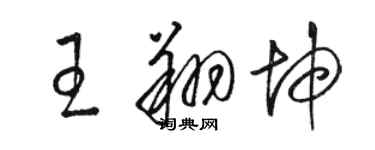 駱恆光王翔坤草書個性簽名怎么寫