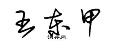 朱錫榮王東甲草書個性簽名怎么寫