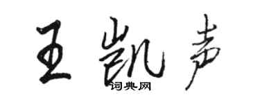 駱恆光王凱聲行書個性簽名怎么寫