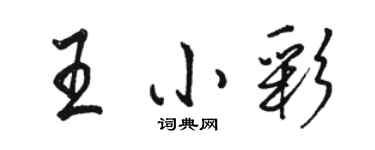 駱恆光王小彩行書個性簽名怎么寫