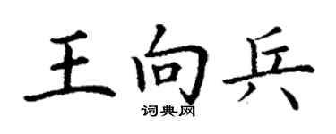丁謙王向兵楷書個性簽名怎么寫