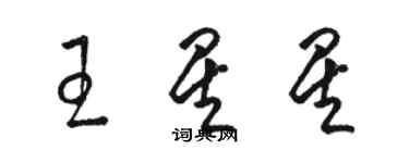 駱恆光王星星草書個性簽名怎么寫