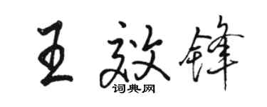 駱恆光王效鋒行書個性簽名怎么寫