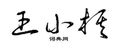 曾慶福王小棋草書個性簽名怎么寫