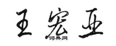 駱恆光王宏亞行書個性簽名怎么寫