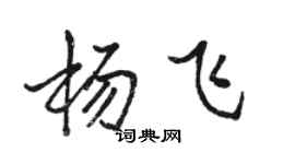 駱恆光楊飛行書個性簽名怎么寫