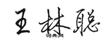 駱恆光王林聰行書個性簽名怎么寫
