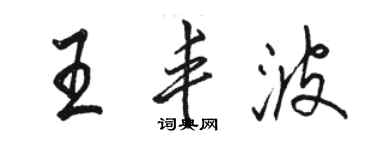 駱恆光王豐波行書個性簽名怎么寫