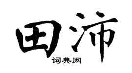 翁闓運田沛楷書個性簽名怎么寫