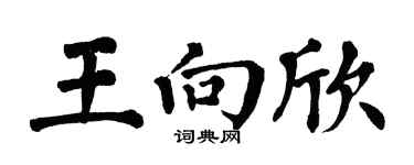 翁闓運王向欣楷書個性簽名怎么寫