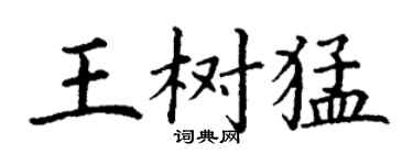 丁謙王樹猛楷書個性簽名怎么寫