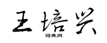 曾慶福王培興行書個性簽名怎么寫