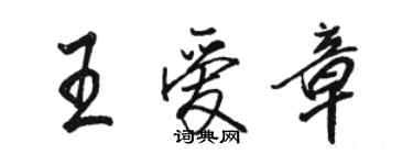 駱恆光王愛章行書個性簽名怎么寫