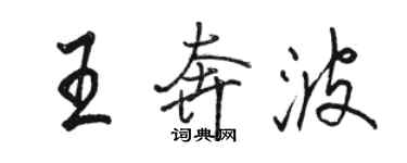 駱恆光王奔波行書個性簽名怎么寫