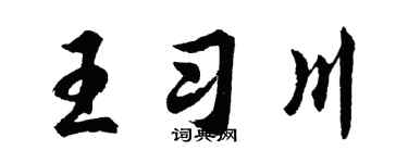 胡問遂王習川行書個性簽名怎么寫