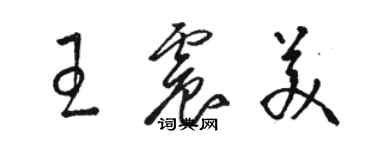 駱恆光王震美草書個性簽名怎么寫