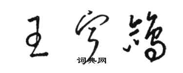 駱恆光王寧鴿草書個性簽名怎么寫