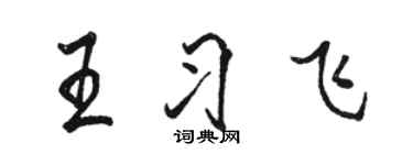 駱恆光王習飛行書個性簽名怎么寫