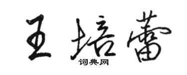 駱恆光王培蕾行書個性簽名怎么寫