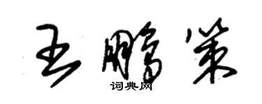 朱錫榮王鵬策草書個性簽名怎么寫