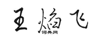 駱恆光王焰飛行書個性簽名怎么寫