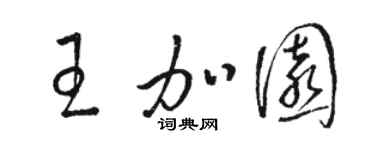 駱恆光王加園草書個性簽名怎么寫