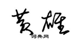 朱錫榮黃雄草書個性簽名怎么寫