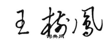 駱恆光王樹鳳草書個性簽名怎么寫